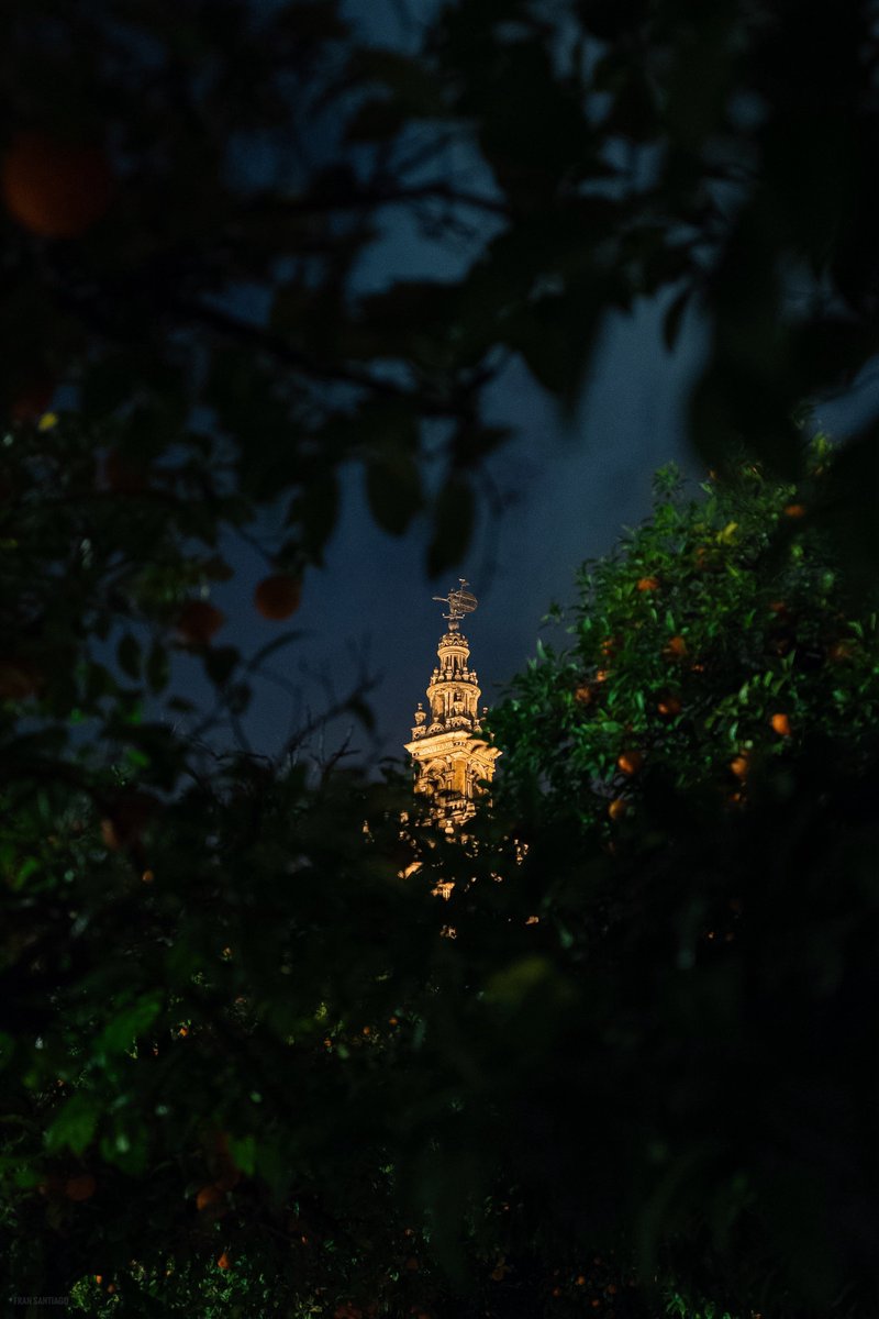 Qué belleza la de Sevilla.