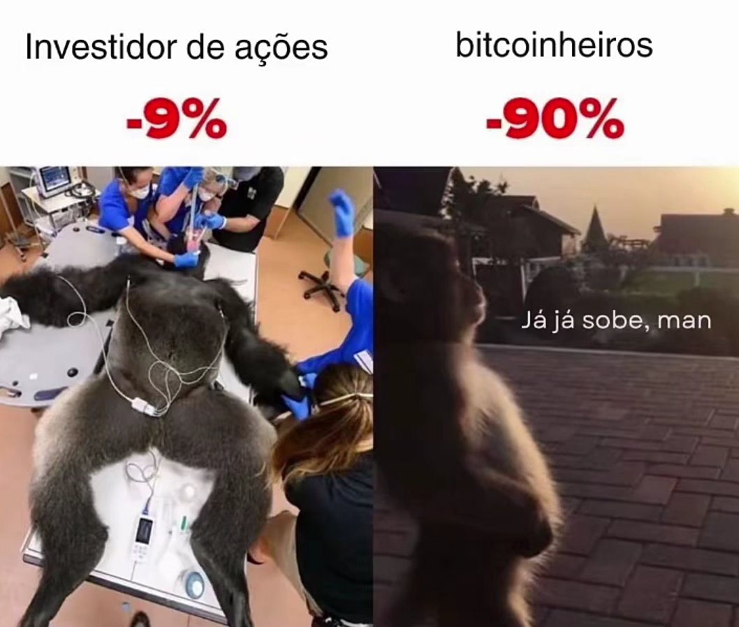 PCL - Partido da Causa Libertária tweet media