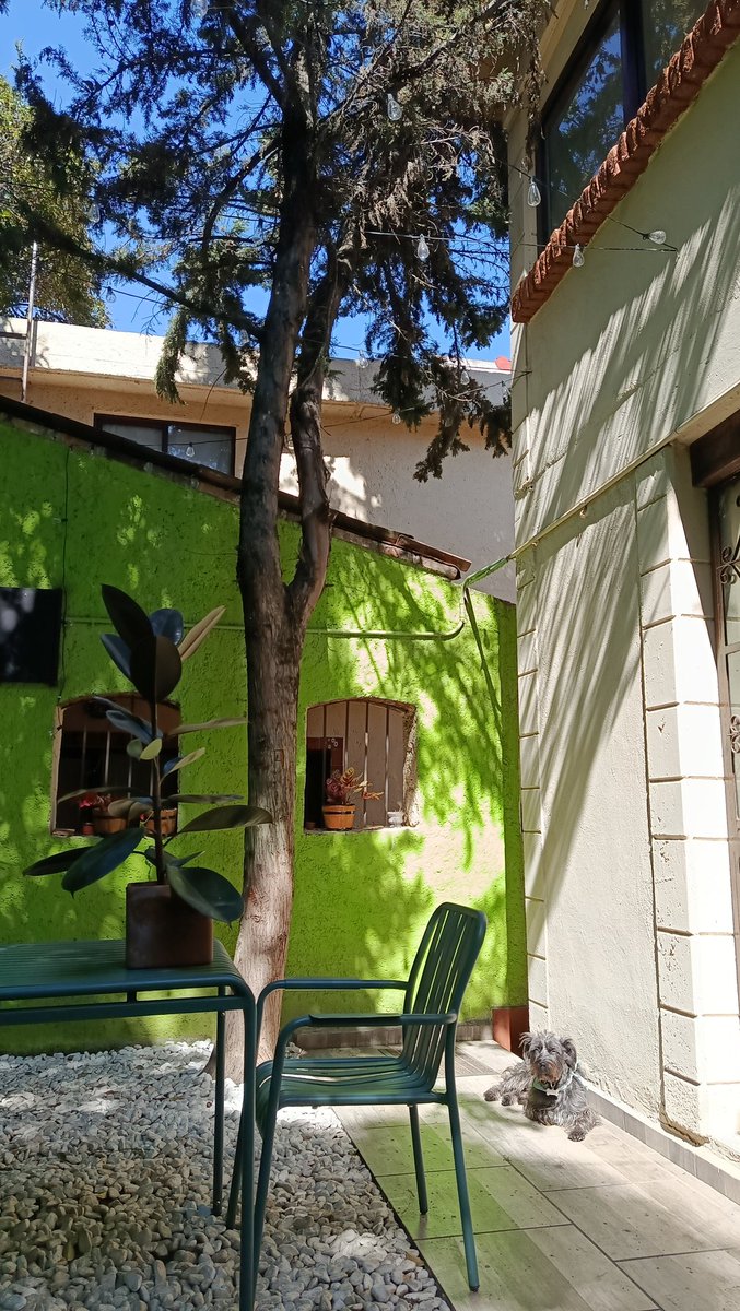Estoy en <a href="/TierraFirmeLyC/">Tierra Firme Libros y Café</a> en el centro de Tlalpan, una agradable sorpresa de silencio en el jardín, que en ocasiones se opaca con el ruido de los coches o la banda musical muy al fondo. Excelente lugar para leer. Me acompaña Sombra.