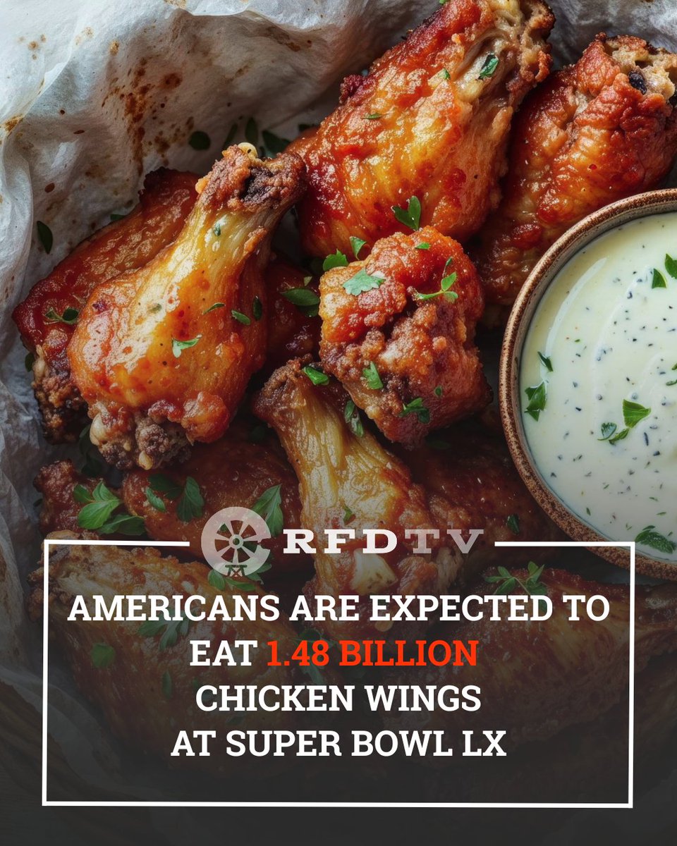 OfficialRFDTV's tweet image. The Lombardi Trophy goes to... Protein! 🏆🏈🍗

#sblx #chickenwings #superbowl #protein #agtwitter