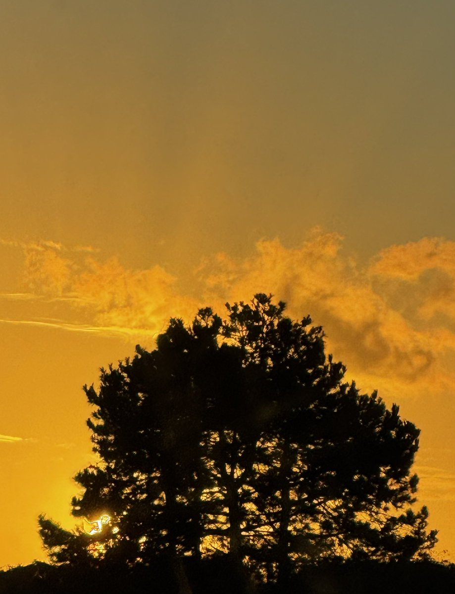 O.C.Omar tweet media