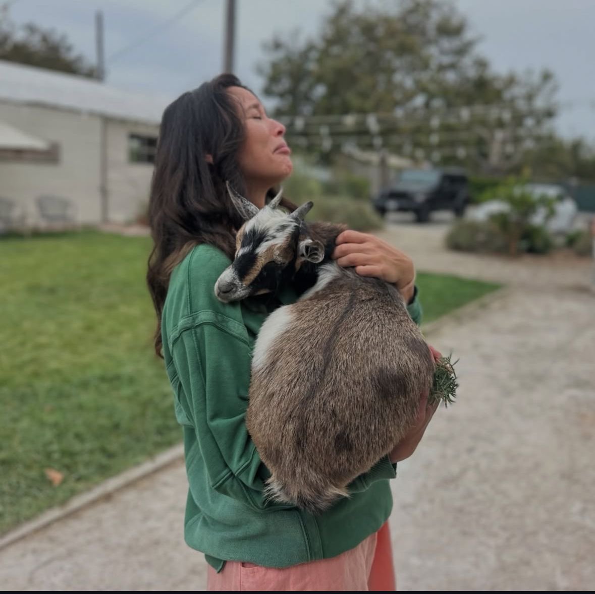 jj 🪴 tweet media