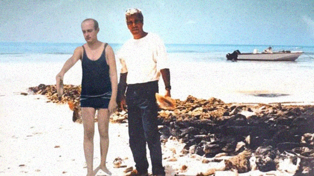 LeftcomHoffa tweet media