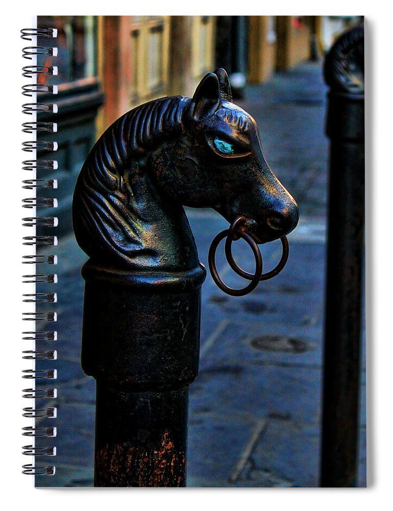 Judy Vincent Photography tweet media