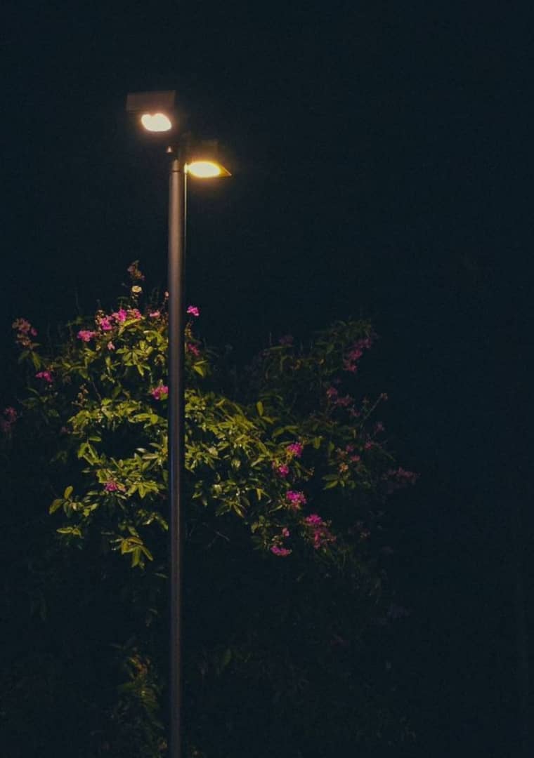 *للمساء يد حانية تلمس الأشياء برِفق،*
*والرسائل تبدو دافئة حتى لو كانت فقط "مساء الخير "!*

✒️📚