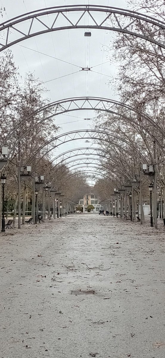 Consecuencias de los días de viento fuerte. #Campillos