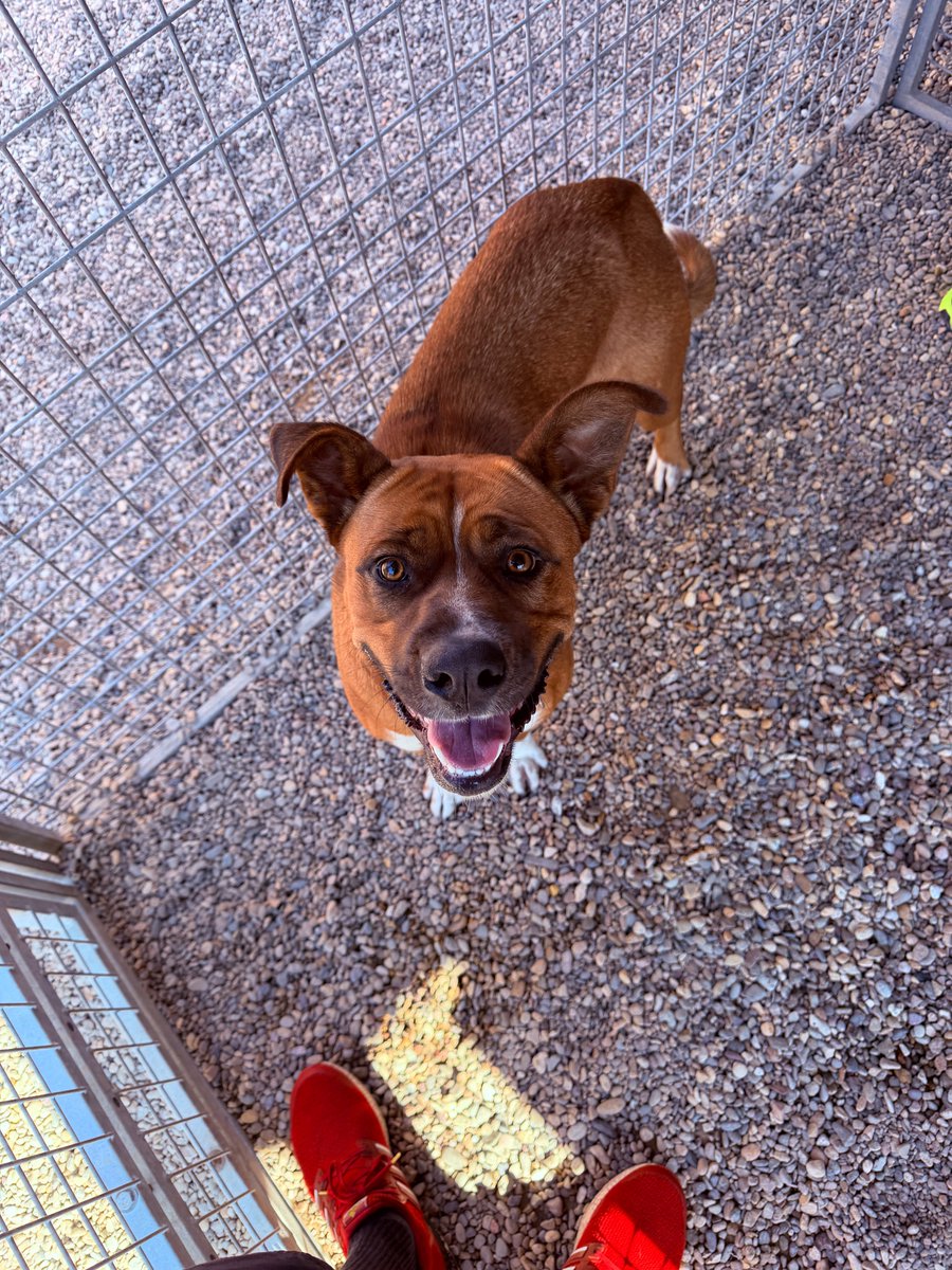 WilliamWallace82 tweet media