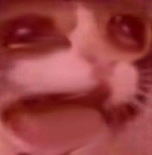 !yuu 🪼 tweet media