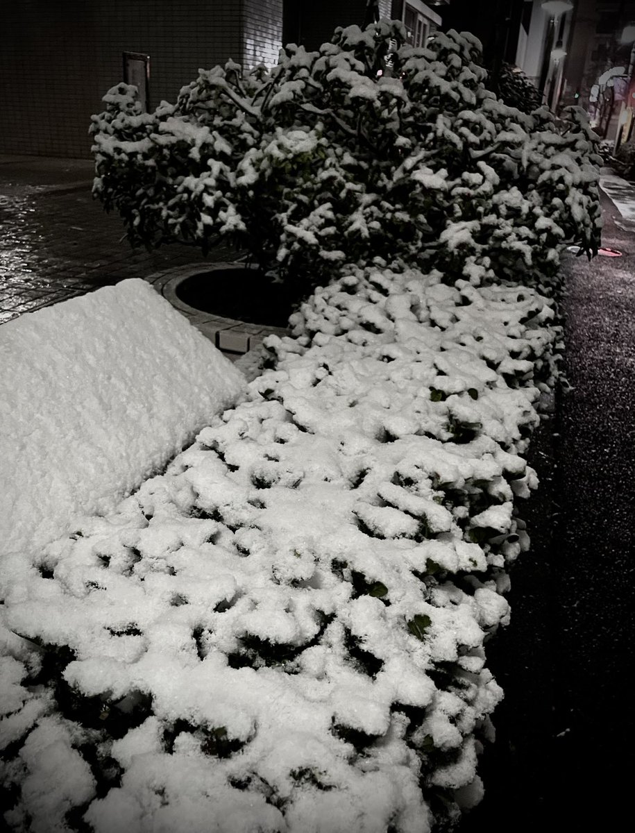 藤田幸也-YUKIYA-（D≒SIRE／JILS／Kαin） (@YUKIYA1999) / Posts / X