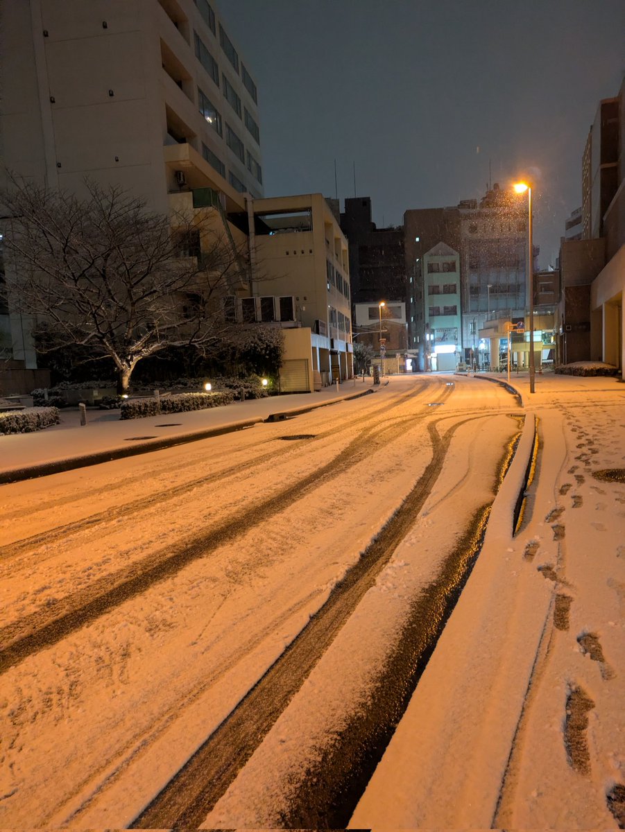 _Avaron's tweet image. 雪だ…