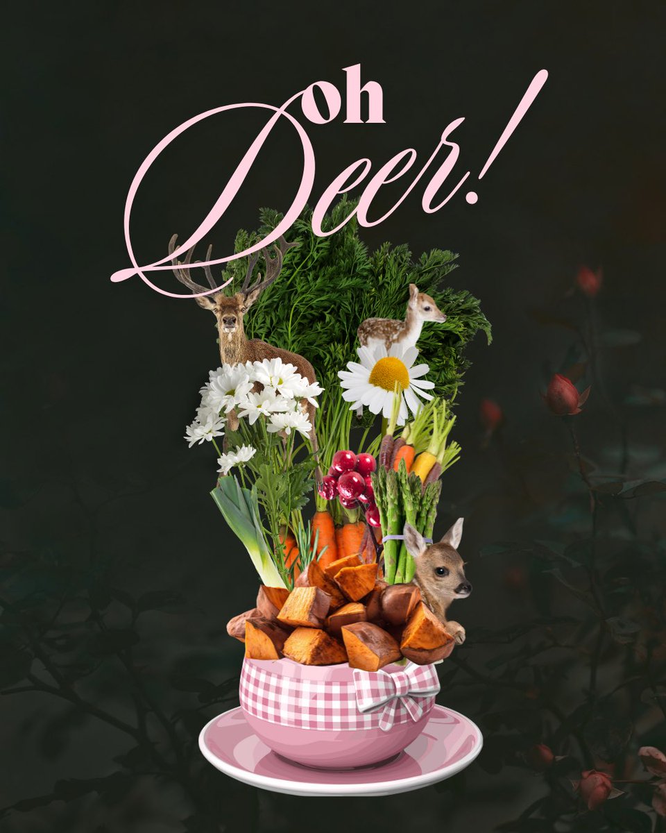 SLEWFOOT x NIGHTBITCH

When Hannah discovers her maternal line turn into vigilante deer on their 22nd birthdays, pieces of her life begin to make a whole lot more sense, especially the sudden urge to chomp on the flower bouquet a mysterious boy just gave her. 

#foodpit #wip #a