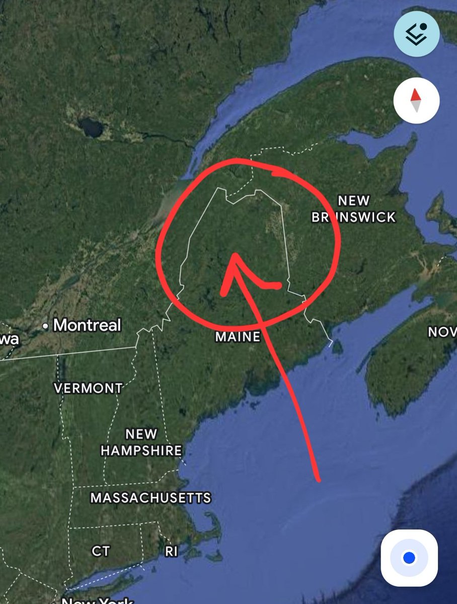 Steph Willems tweet media