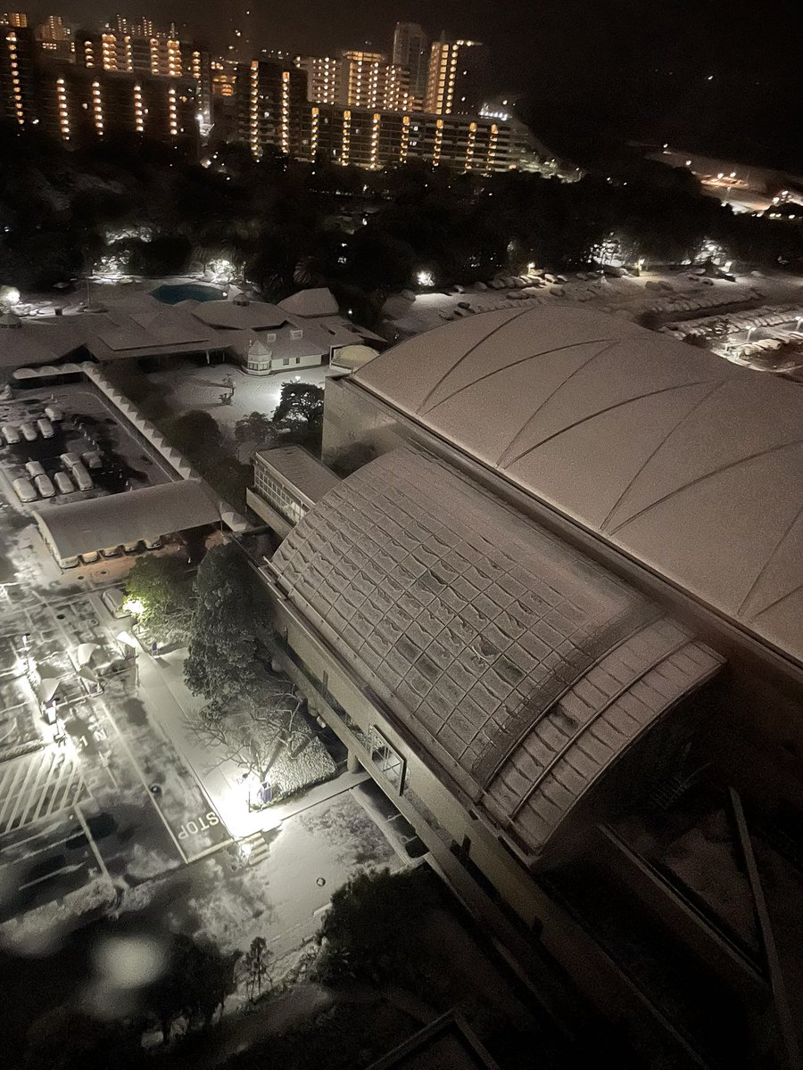今の幕張メッセ近く🥲
雪…
