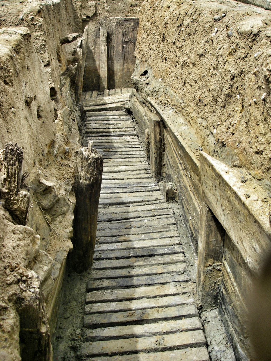 Simon Verdegem tweet media