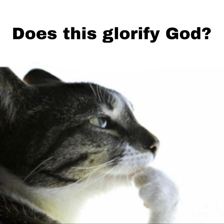 Mr. Confident. (@ceoofconfidence) on Twitter photo 