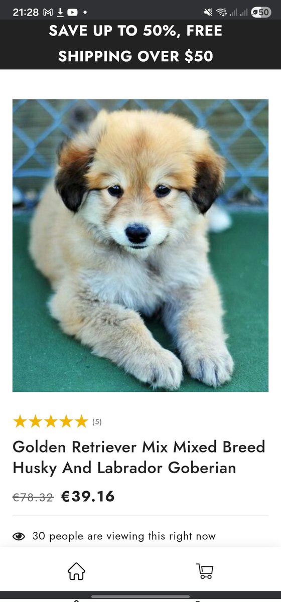 MuppetTheMilo's tweet image. What the fuck am i buying