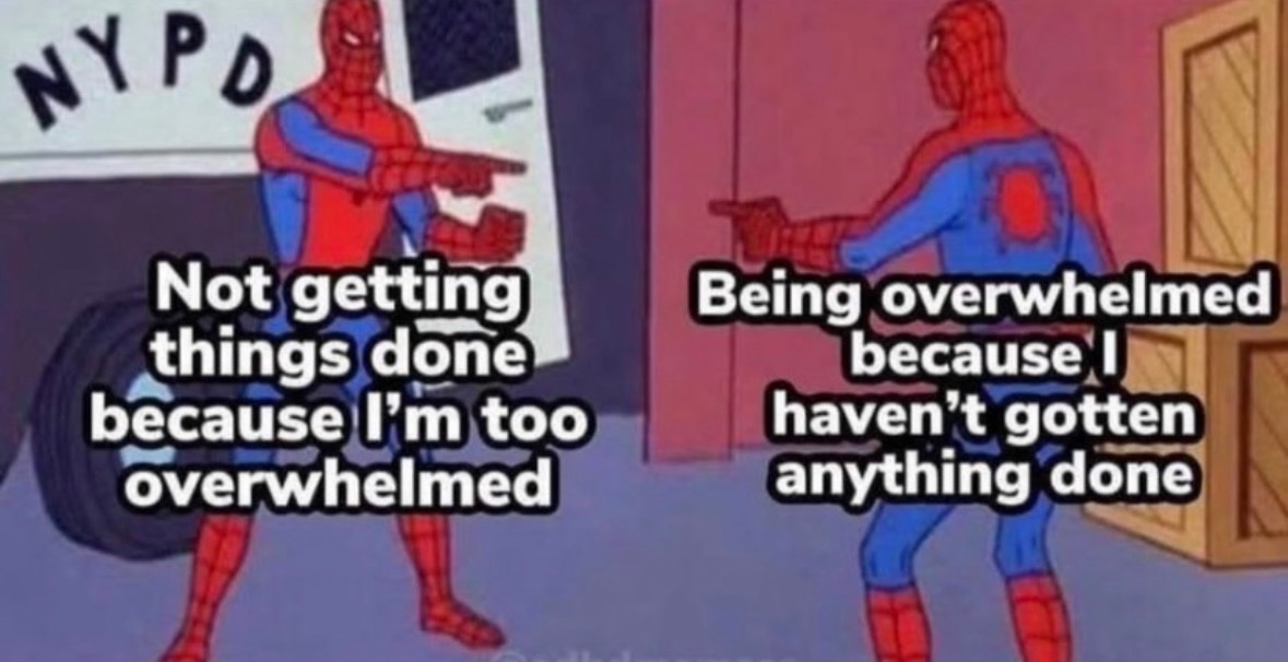 RespectfulMemes's tweet image. 