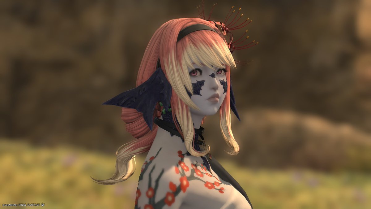 Khaja Mol tweet media