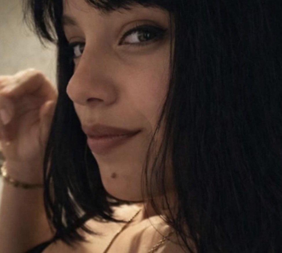 Ilaria Salis tweet media