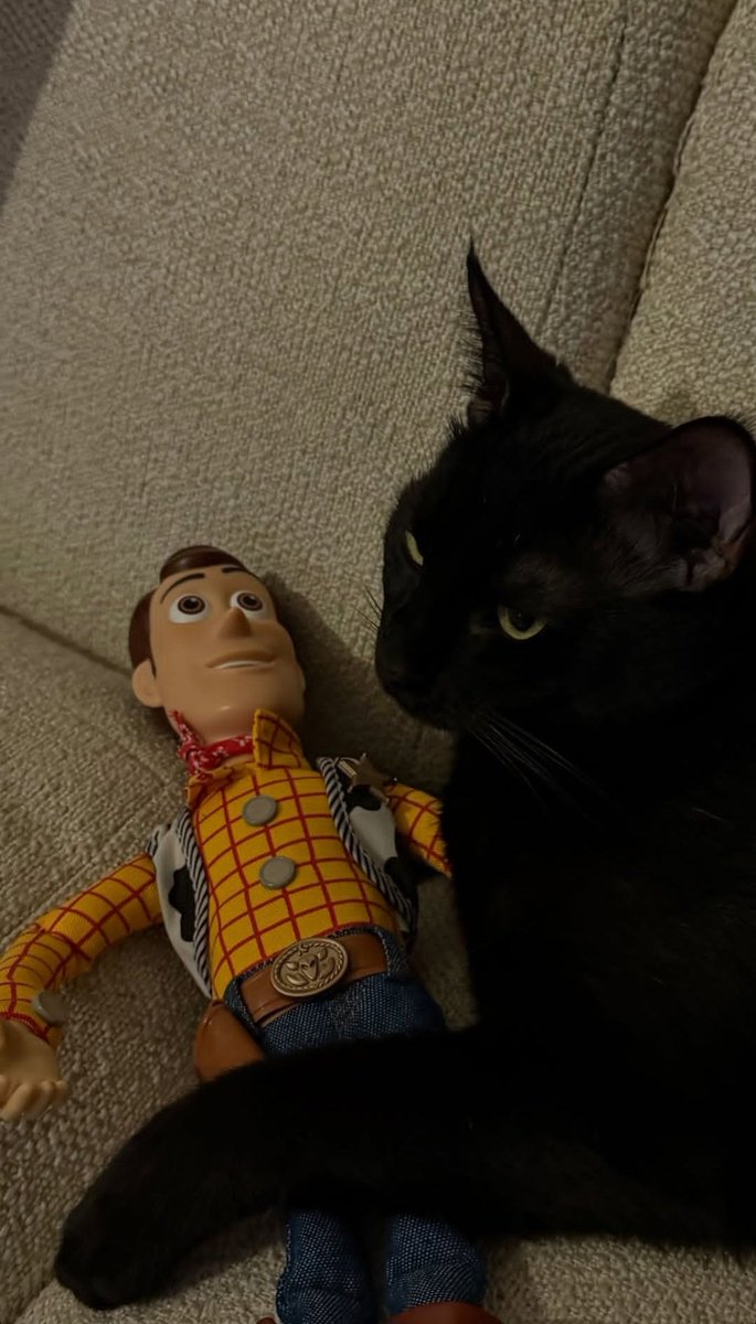 Çapkooooo = Ahmet Can 
Woody = Ahmet Can 

 Yani diyor ki bana göre her şey sensinn  Aşkımmm diyor Ahmet Cann🖤