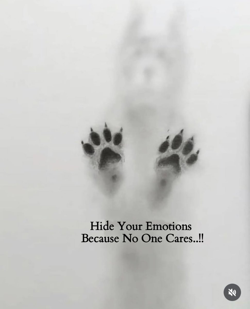 Mind Essentials (@mind_essentials) on Twitter photo 