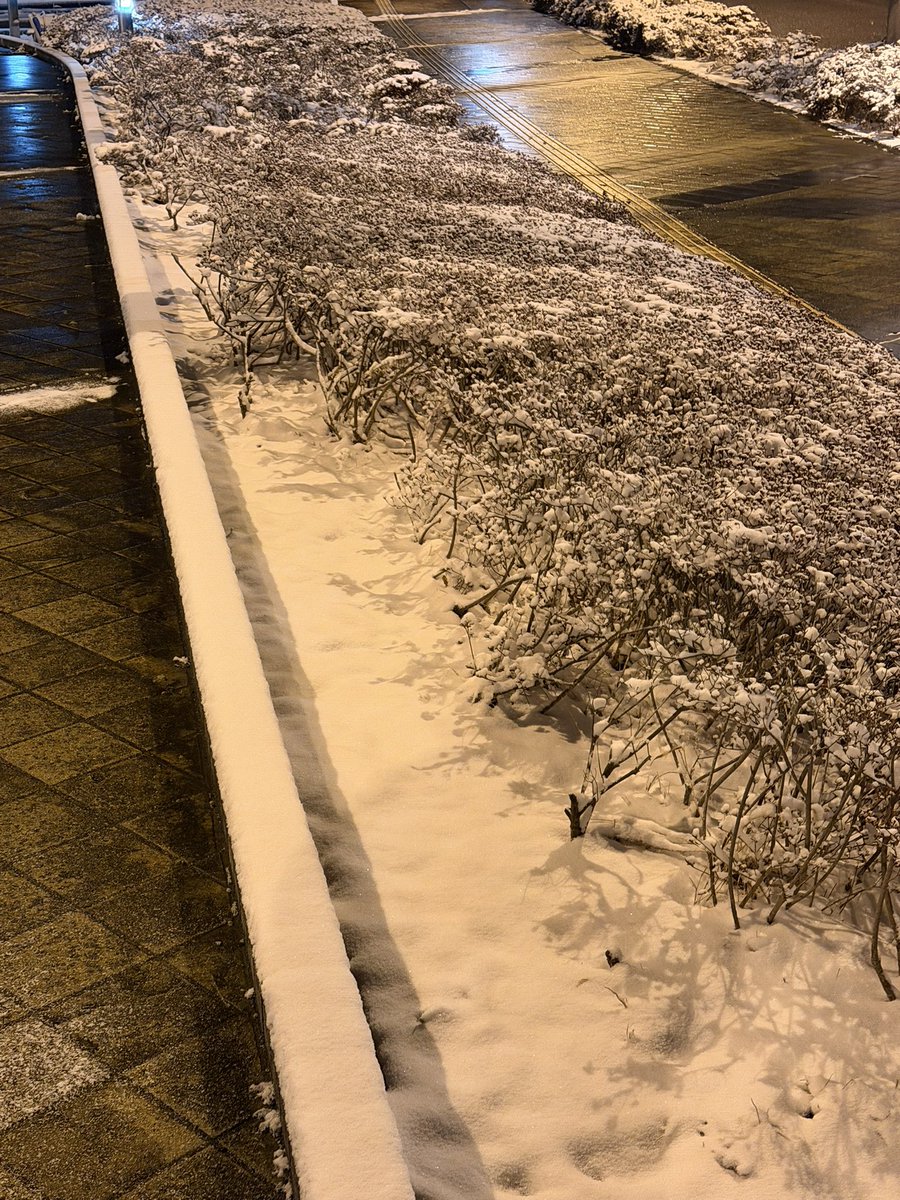 雪の影響なのか1人もいない！ それにしても寒い🥶