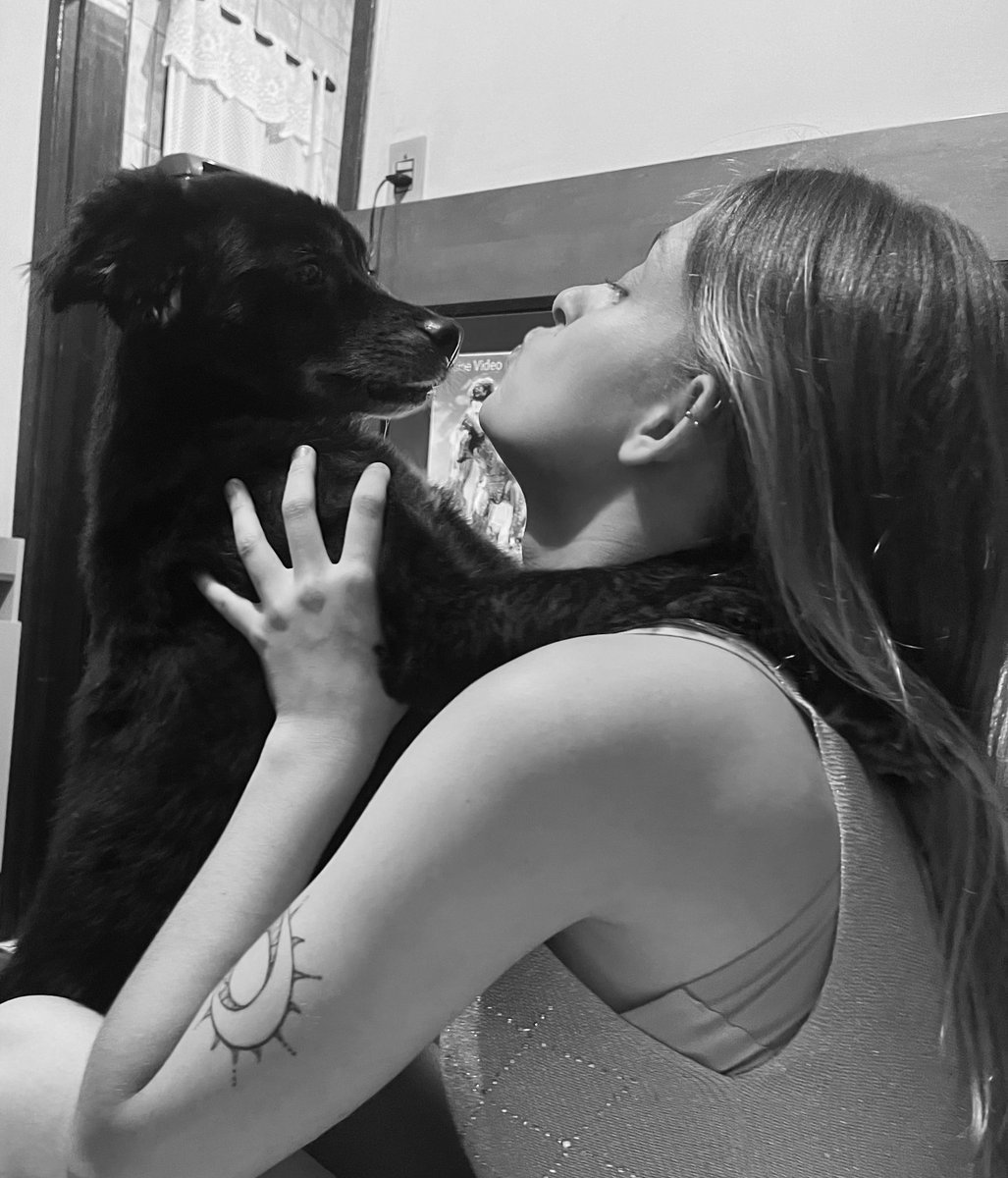 mf ☄️🦊 tweet media