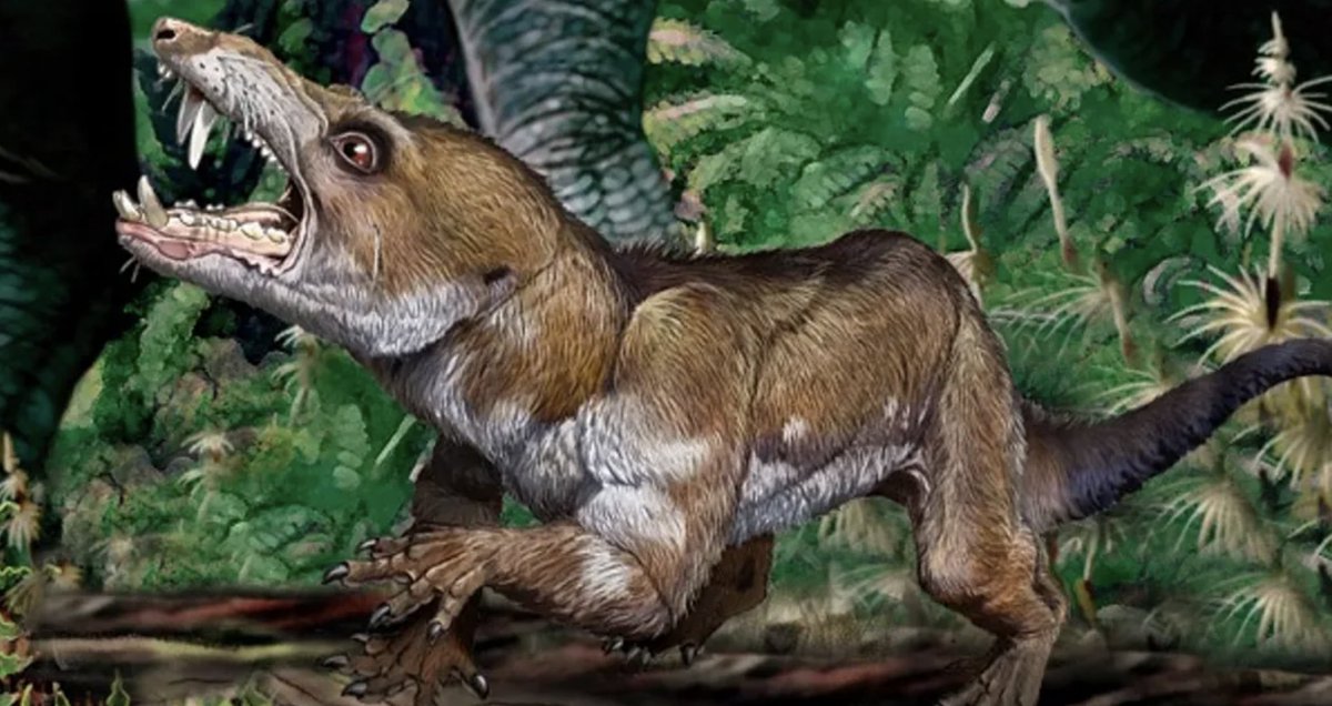 Creative Design Project - 18th Feb - with <a href="/DinostarHull/">Dinostar Dinosaurs 🦕🦖</a> and  <a href="/KCOMhome/">KCOM</a> 
Create your own dinosaur artefact and exhibit it in a real dinosaur museum!!  
It might even be a saber toothed Squirrel - Cronopio dentiacutus > creativebriefs.co.uk/dino #HCAFC #hull