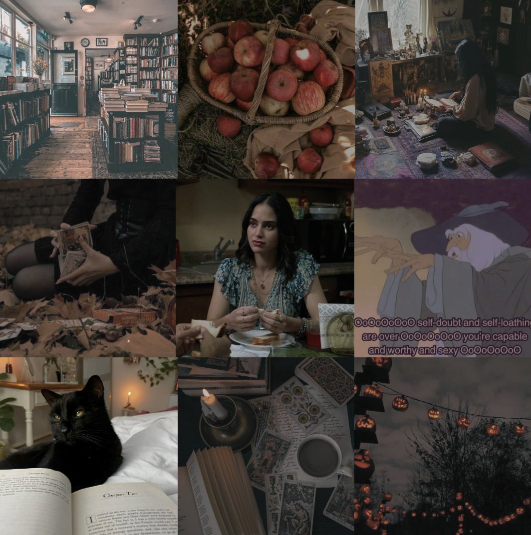 AuthorLuluAlba's tweet image. Ohhh so I have actually ~talk about~ my book in order to ~have~ an audience…got it….

ANYWAYYYYY here’s “The Whimsical Bookstore” and “The North Star Heir”

#WritingCommunity #amediting #agentsguide