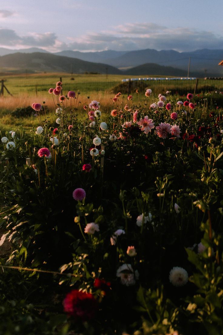 oaesthetiicc's tweet image. 