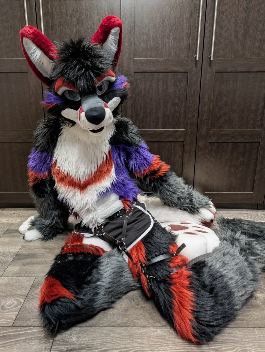 Time to celebrate 😈~
2nd fursuit birthday

#FursuitEveryday