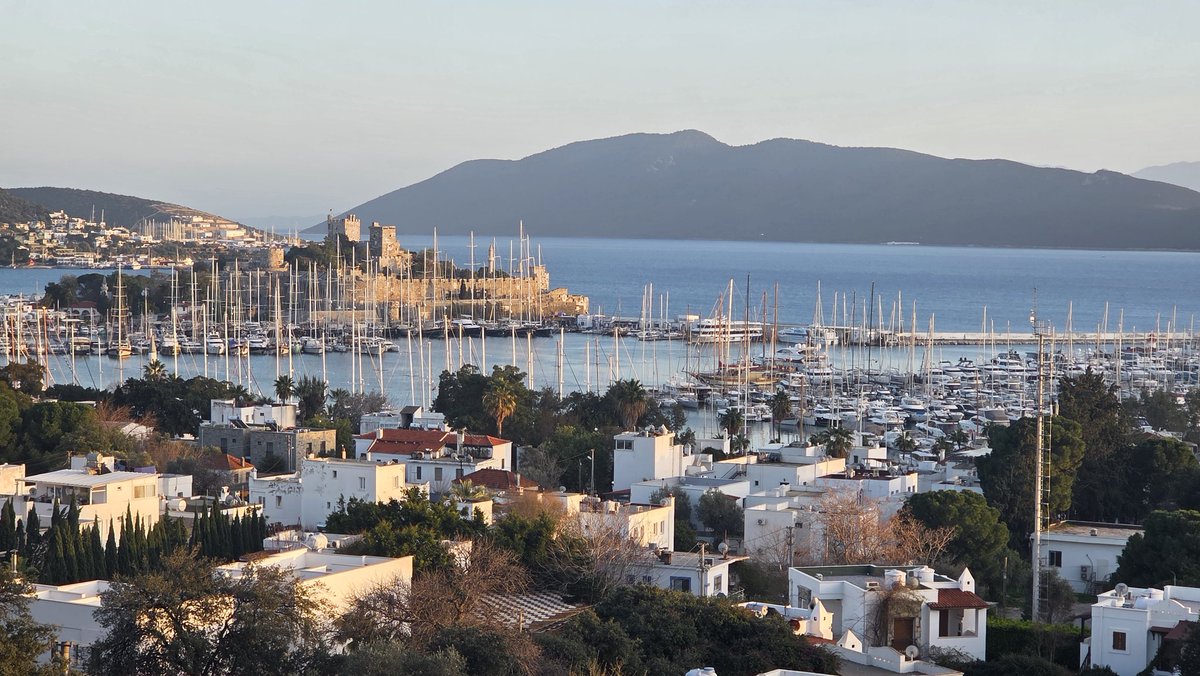 drsdgrmnc's tweet photo. Bulunduğun yer seni memnun etmiyorsa 

Yerini değiştir

Ağaç değilsin 

İyi geceler 🌙

( Mugla Bodrum ) https://t.co/wVAthEbqLF