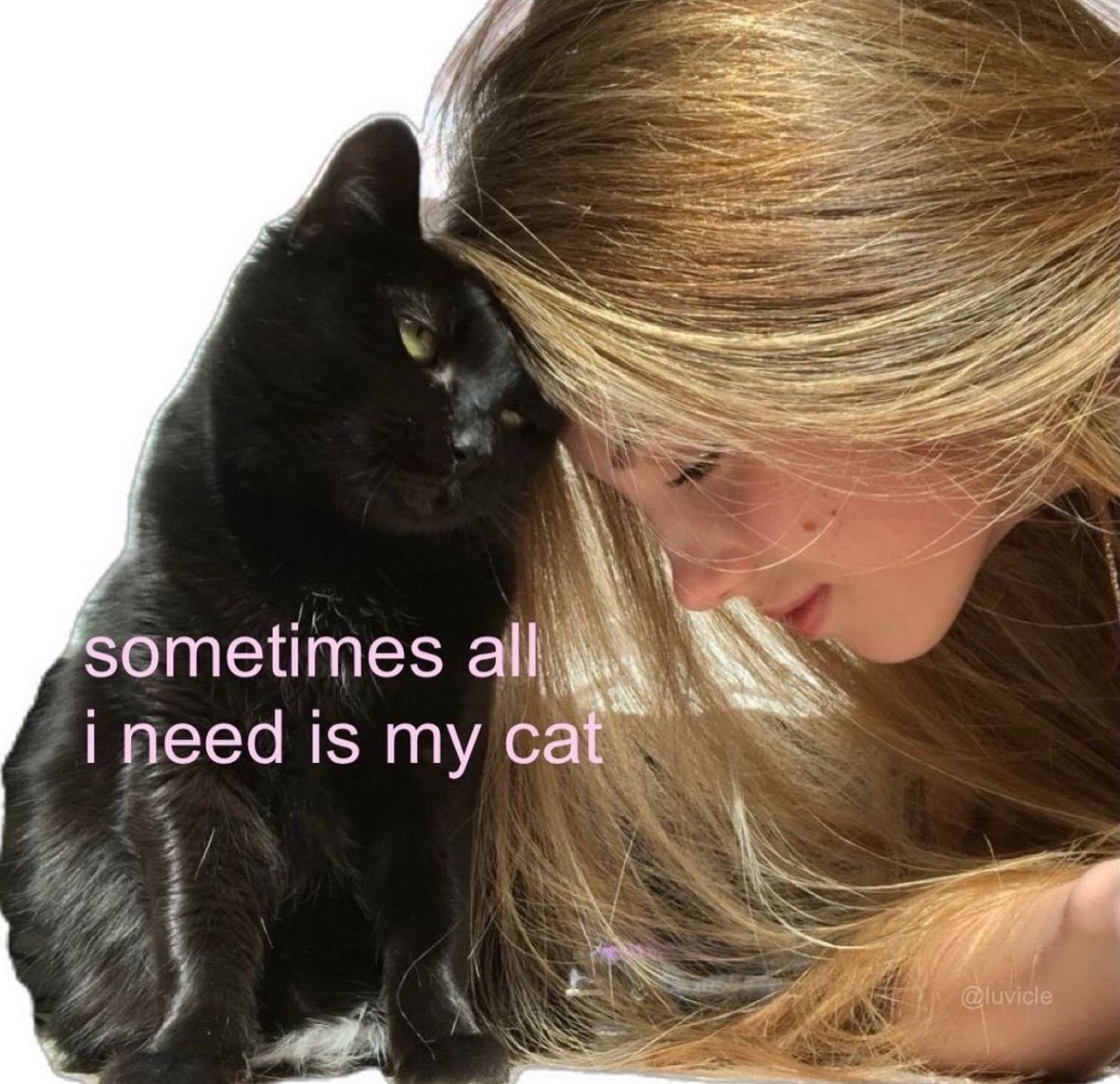 ✧ (@northstardoll) on Twitter photo 