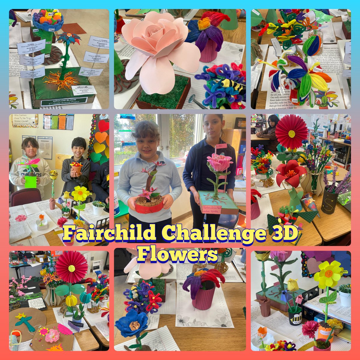 Palm Lakes Elem. tweet media