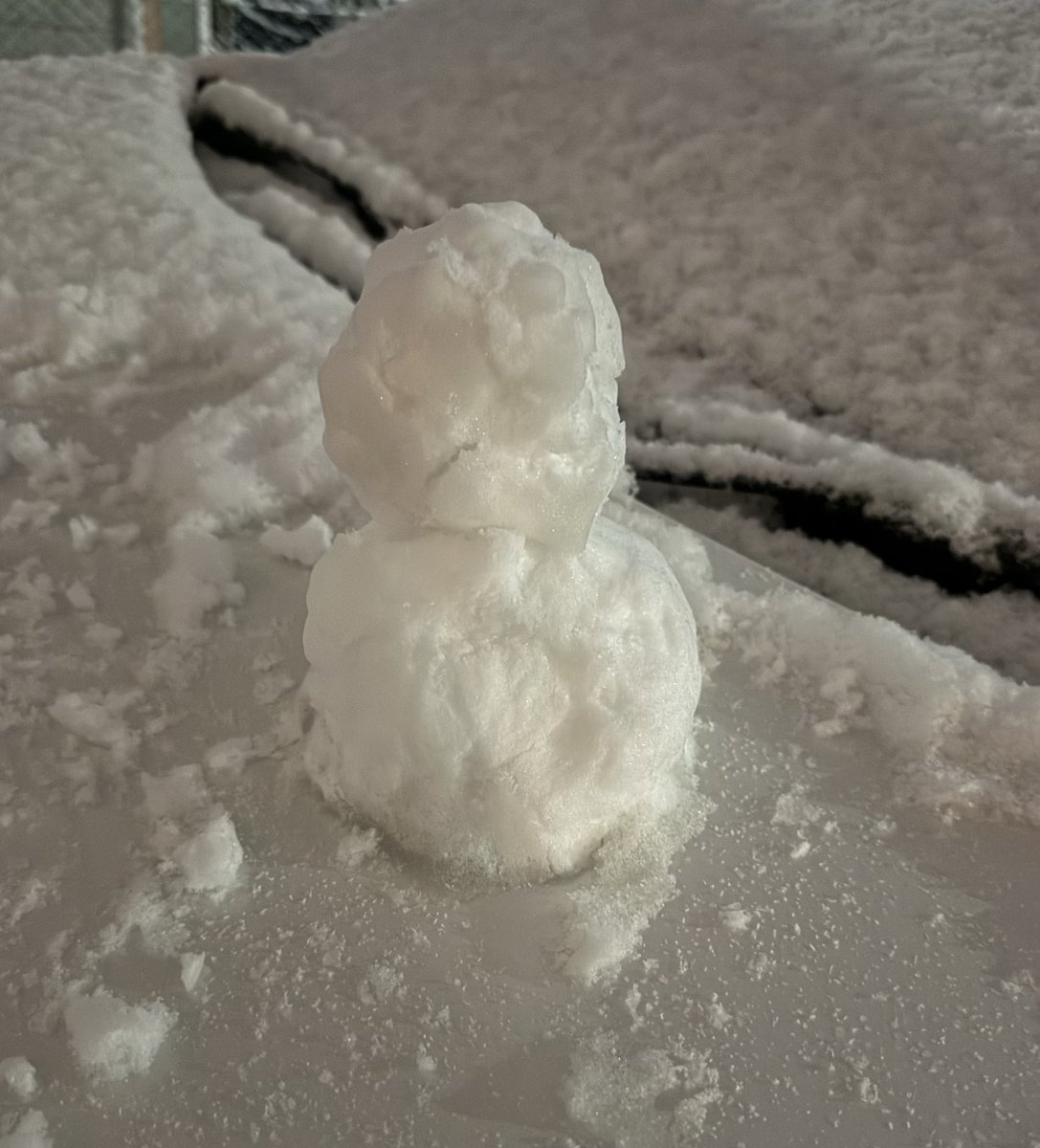 lj_sheep's tweet photo. ⛄️✨ https://t.co/Yqt6sD1WoH