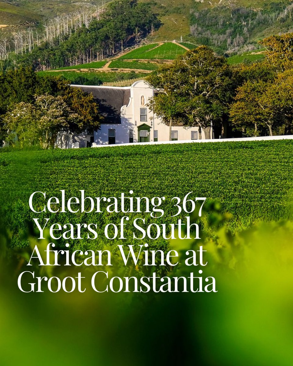 Cape Town Big 6 tweet media