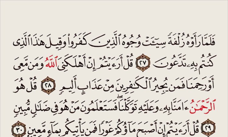 Recite and repost, your hands will bear witness for you on judgement day.
