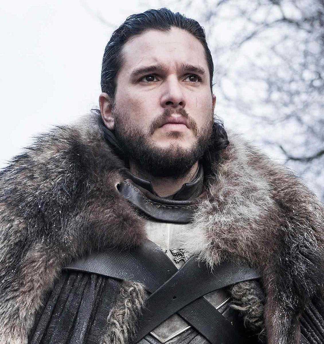 westerosies tweet media