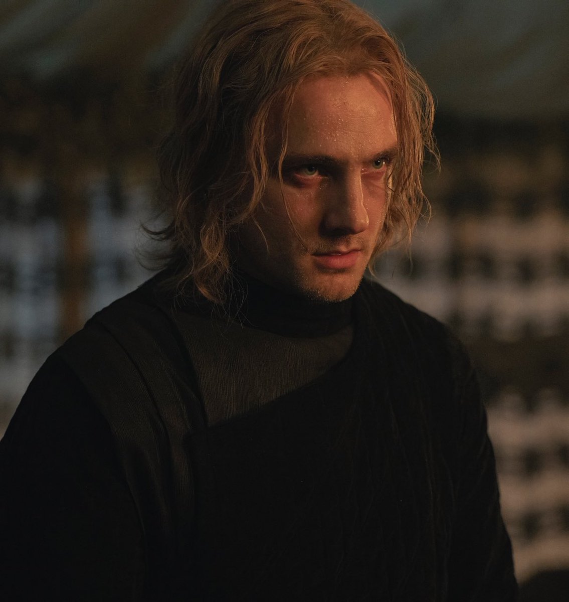 westerosies tweet media