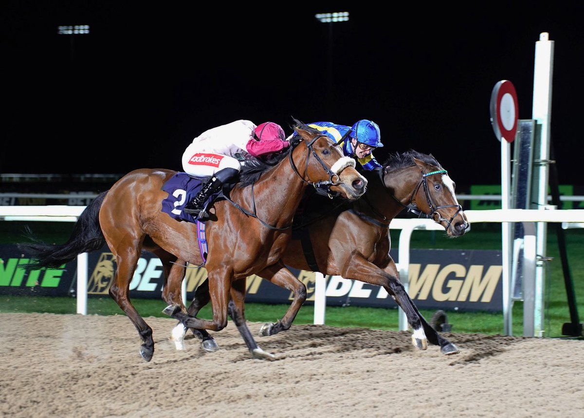 OllieSangster's tweet photo. An across-the-card double as Life After Love broke her maiden at Southwell under Callum Rodriguez for owner-breeder The Chriselliam Partnership 🏆

#OllieSangsterRacing https://t.co/Q9kz67B0Kj