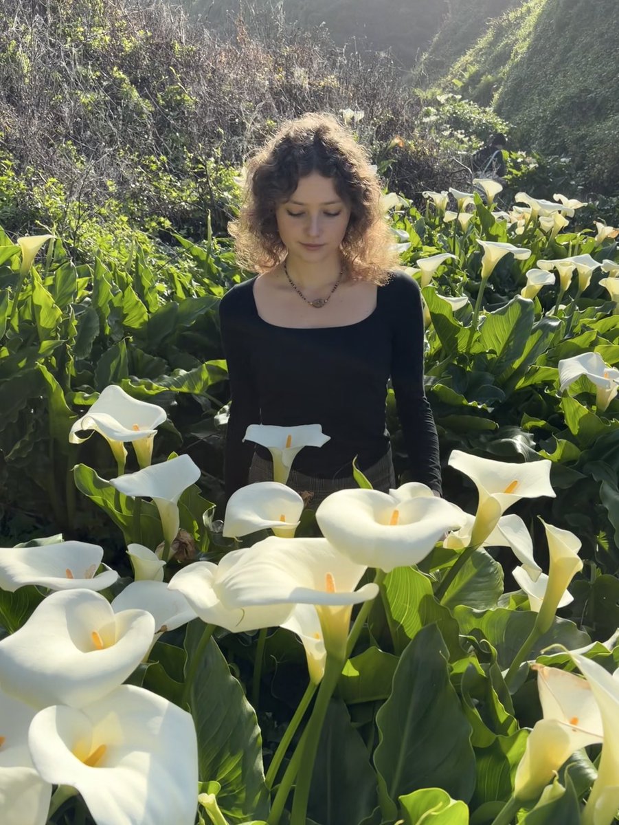 beliEVEr tweet media