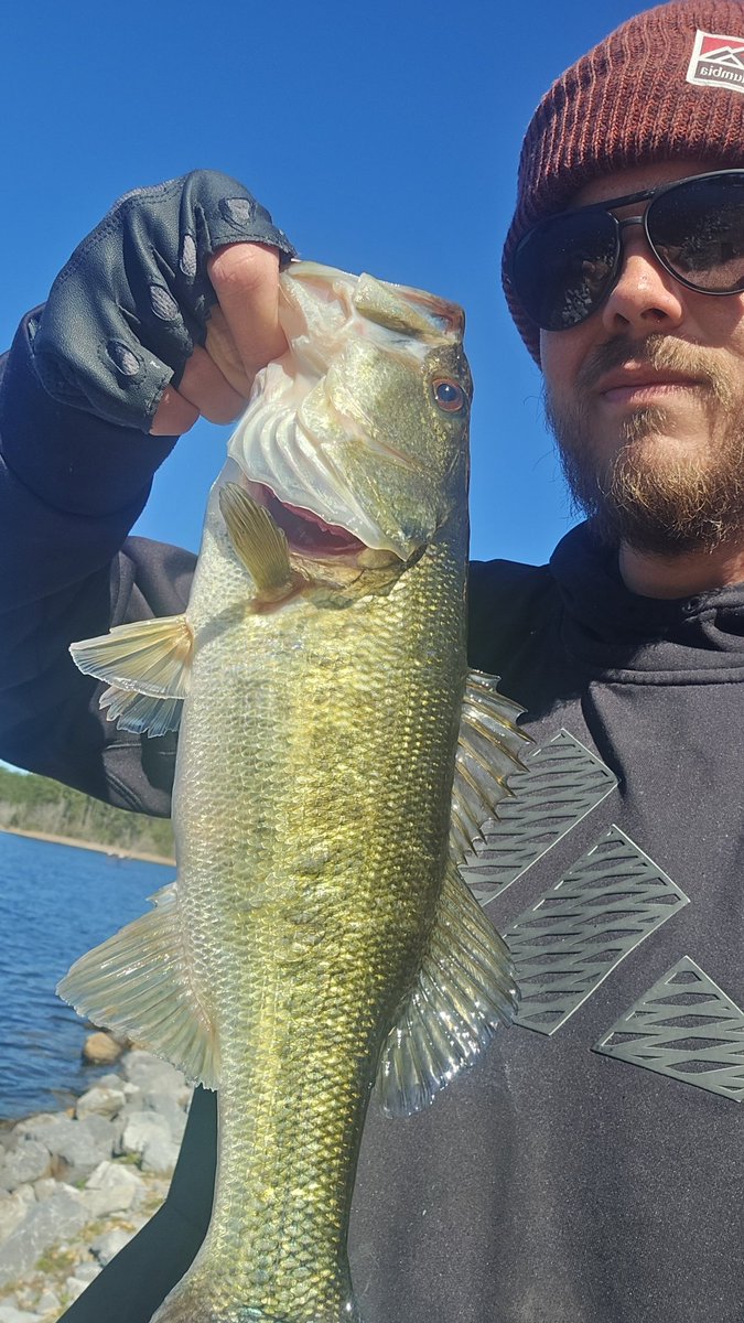 fannypack tweet media