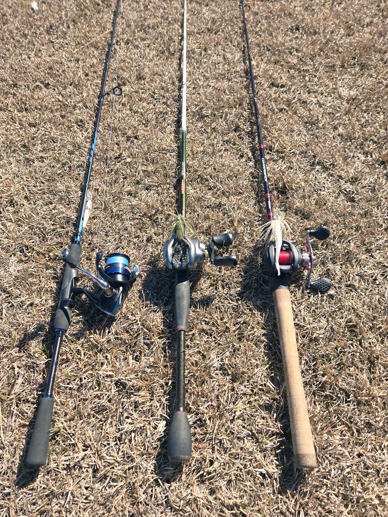 fannypack tweet media