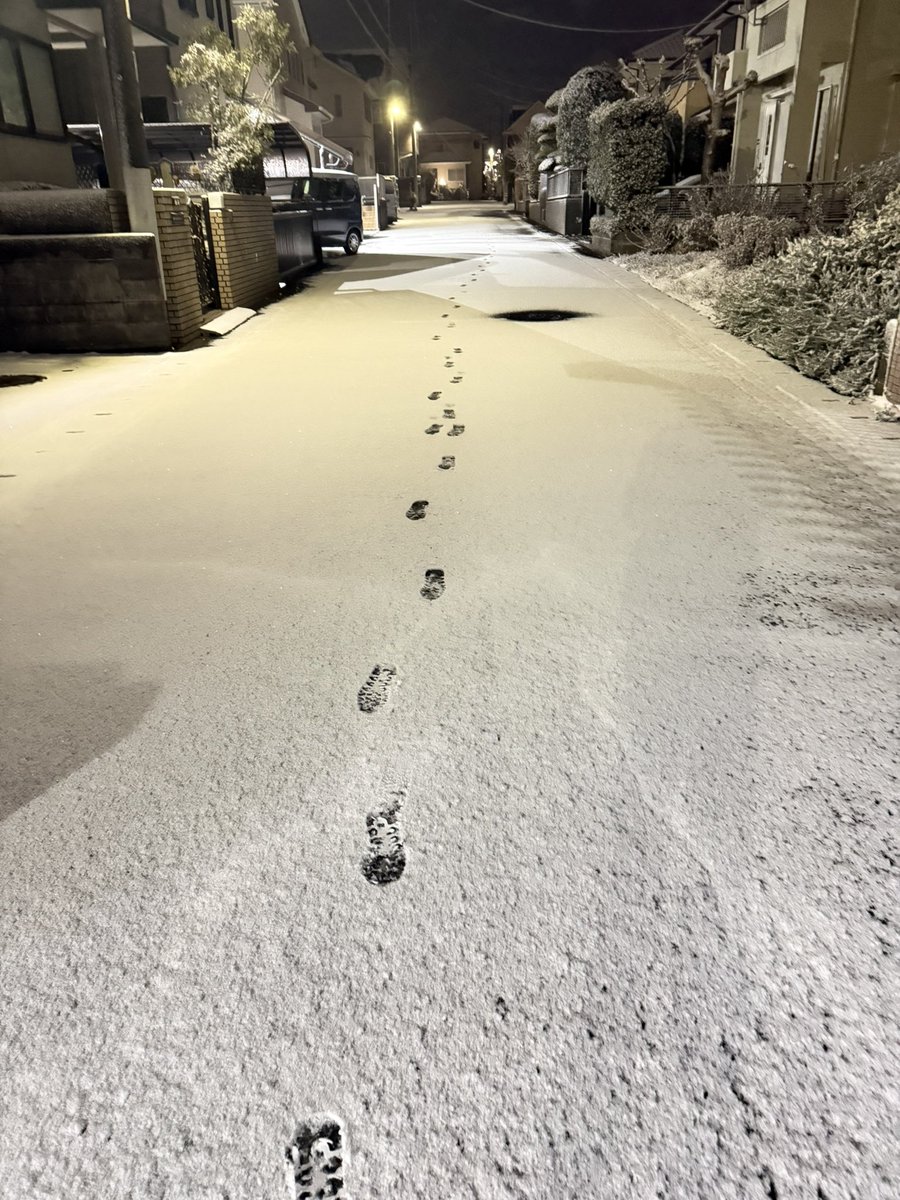 proof0328's tweet photo. 雪積もってるー！自分の足跡しかない！ https://t.co/GrUbT01Ivb