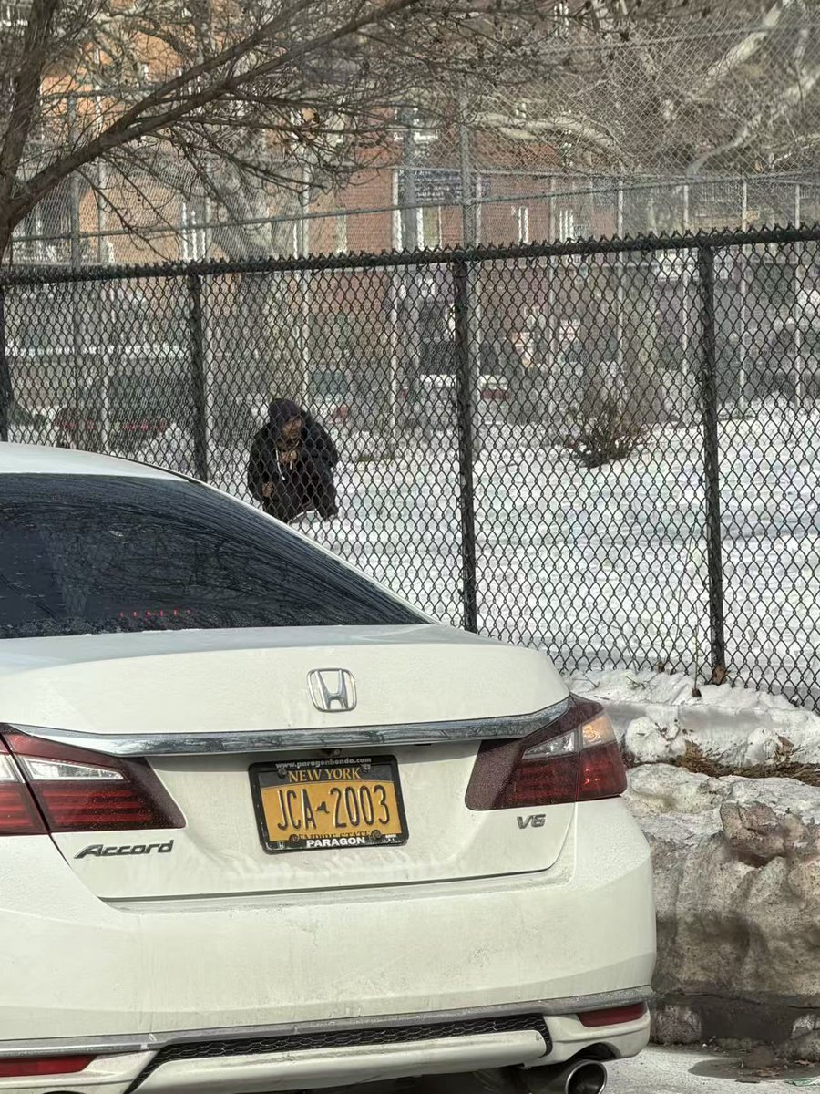 自由民主的人生 tweet media