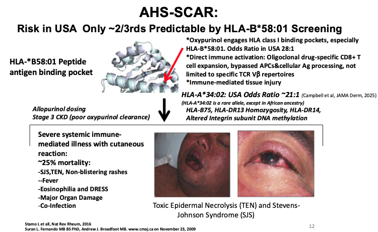 Eric Dein tweet media