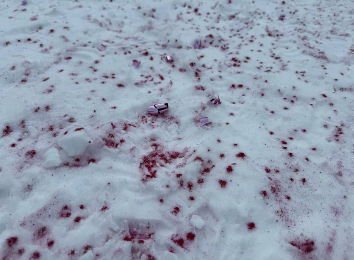 yegwave's tweet image. Parks Canada is investigating after a post online showed what appears to be a gender reveal that left pink dye and metallic confetti scattered across the ice at Lake Louise on Jan. 31.

A visitor from California said she noticed a large patch of pink colouring and hundreds of…