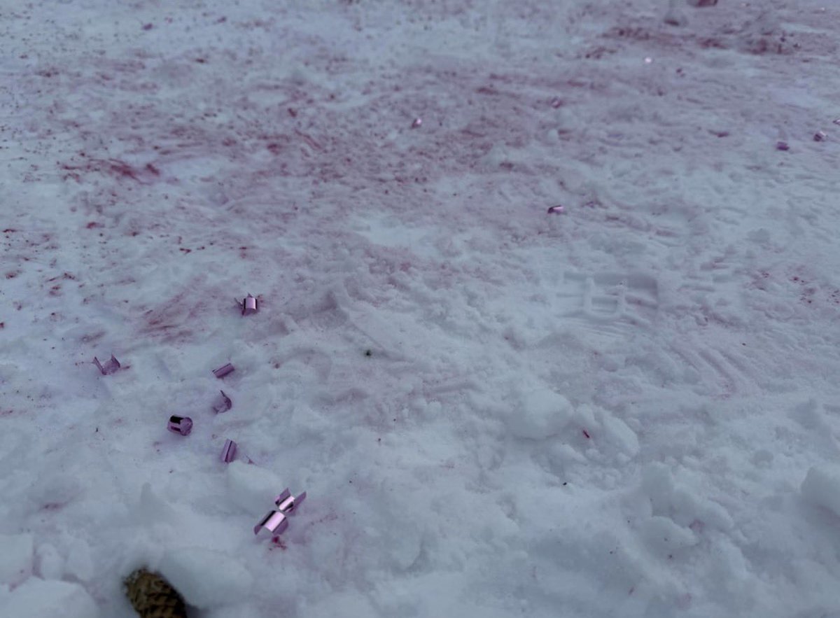 yegwave's tweet image. Parks Canada is investigating after a post online showed what appears to be a gender reveal that left pink dye and metallic confetti scattered across the ice at Lake Louise on Jan. 31.

A visitor from California said she noticed a large patch of pink colouring and hundreds of…