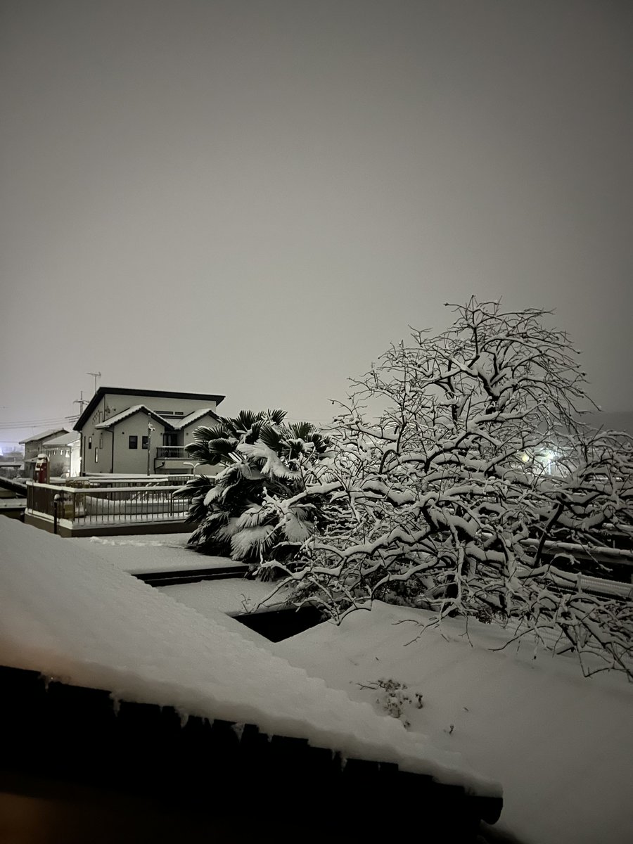 chikakoo4's tweet photo. まさかこんなに降るとは…⛄️ https://t.co/kkKVscqIZG