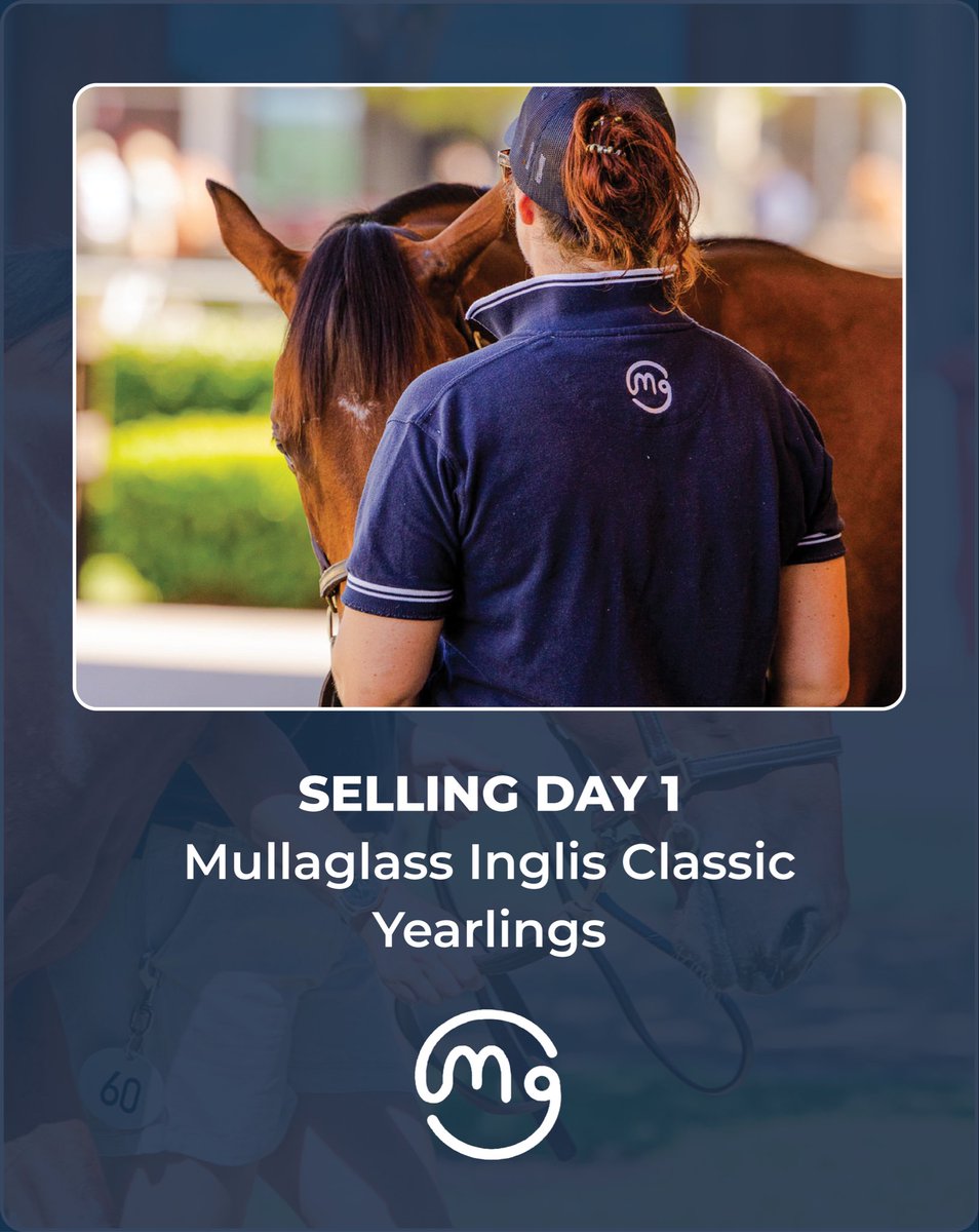 Mullaglass Stud tweet media